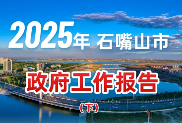 2025年石嘴山市政府工作報(bào)告圖解（下）